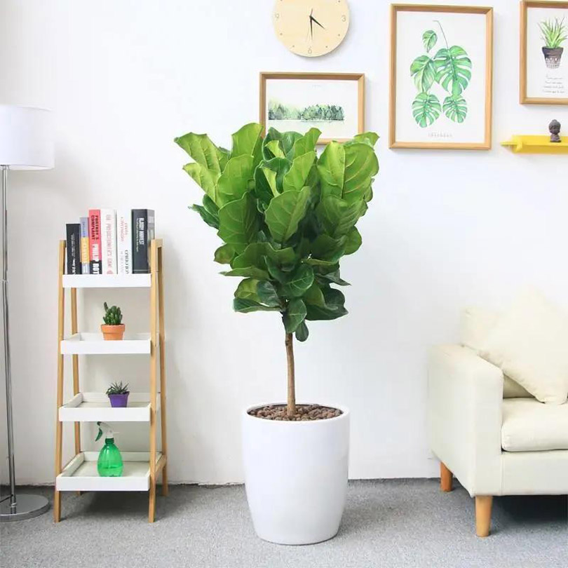 1600048242165242.jpg 微信圖片_20200914094133.jpg